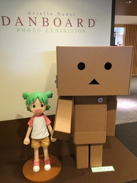 ダンボー写真展